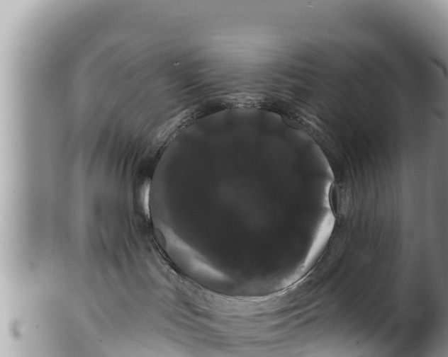 X0000100200047200806201431