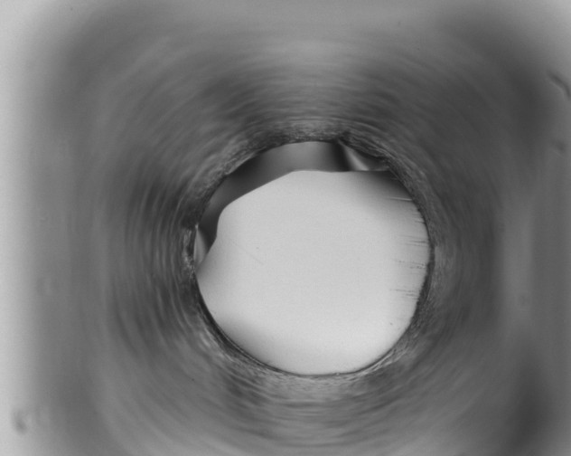 X0000100200048200806201431