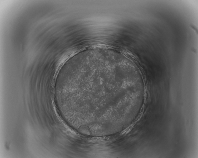 X0000100200049200806201431