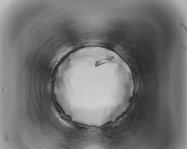 X0000100200050200806201431