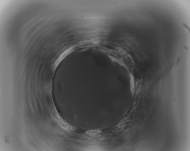 X0000100200051200806201431