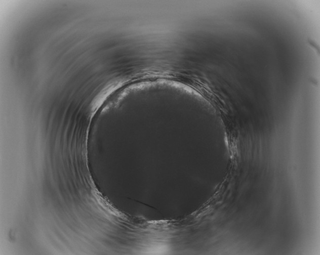 X0000100200052200806201431