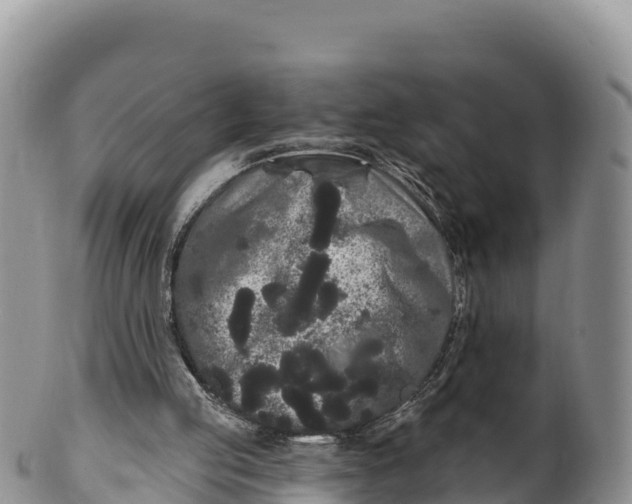 X0000100200053200806201431