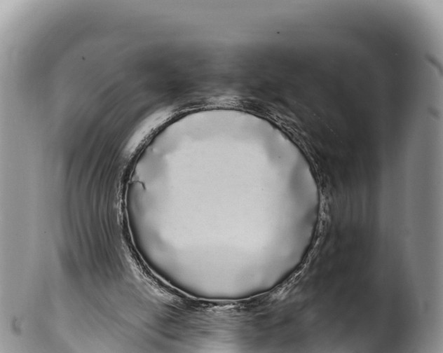 X0000100200054200806201431