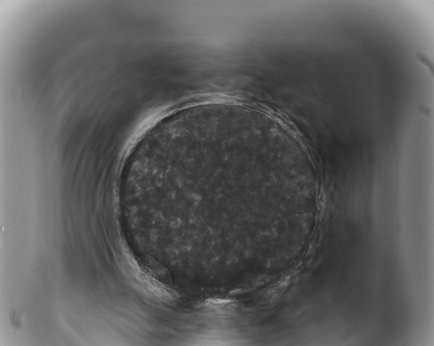 X0000100200055200806201431