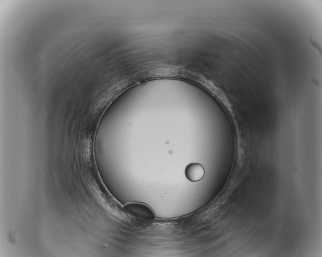 X0000100200057200806201431