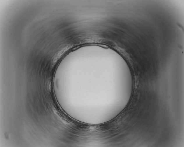 X0000100200060200806201431