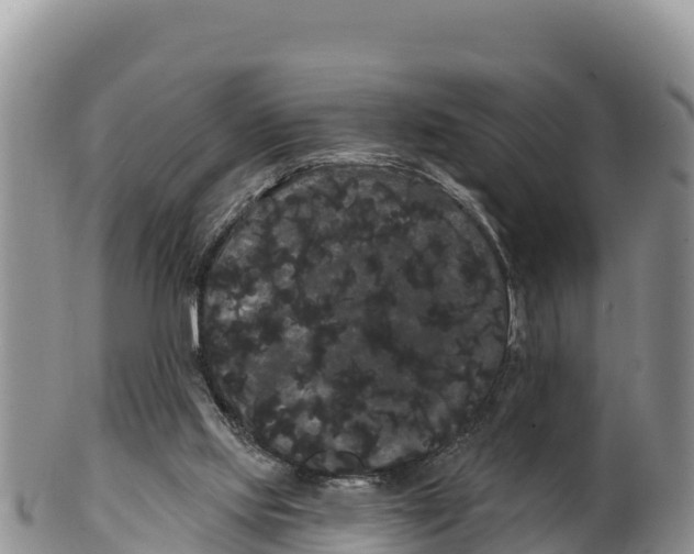 X0000100200061200806201431