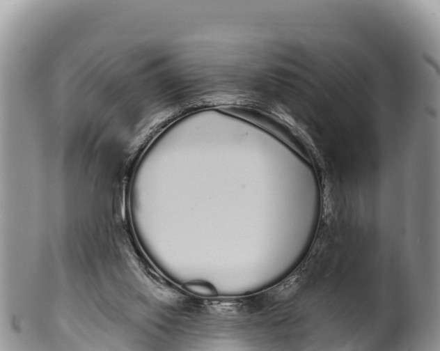 X0000100200062200806201431