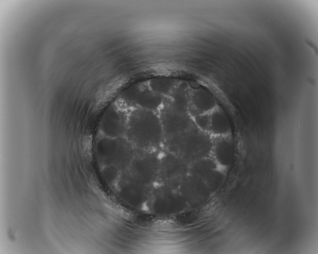 X0000100200066200806201431