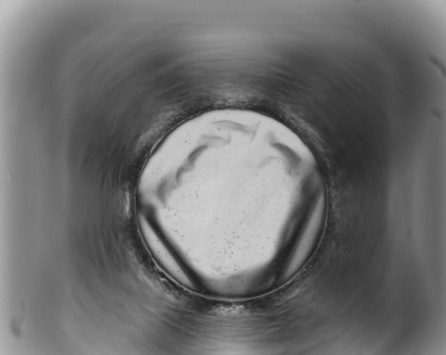 X0000100200067200806201431