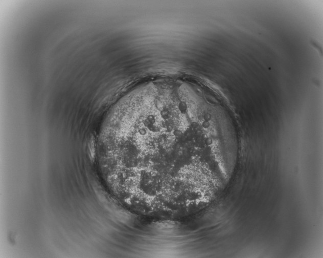 X0000100200069200806201431