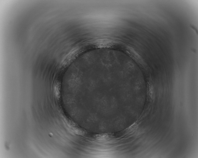 X0000100200074200806201431