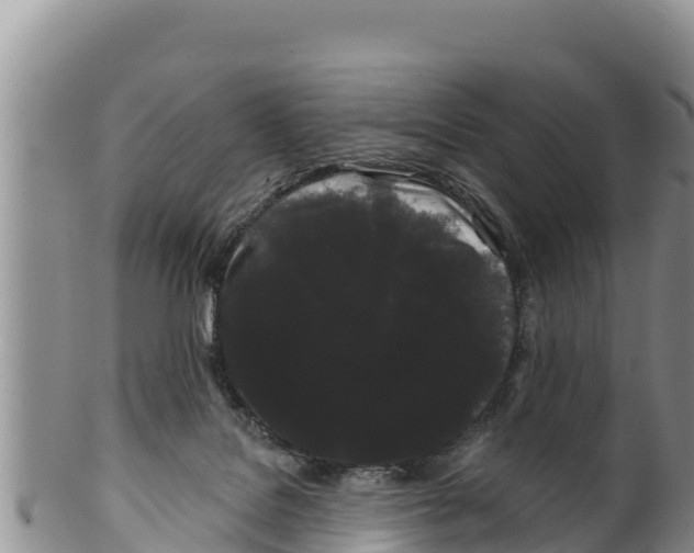 X0000100200076200806201431