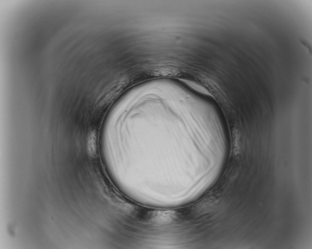 X0000100200077200806201431