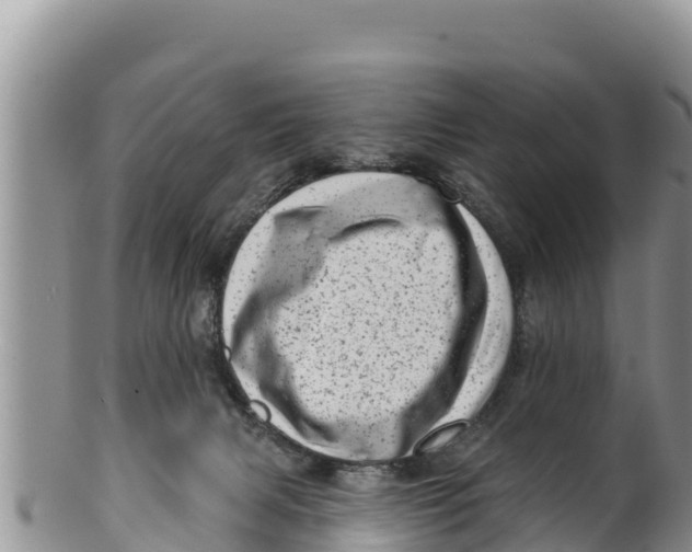 X0000100200079200806201431