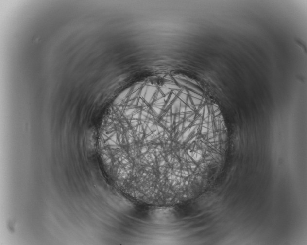 X0000100200081200806201431