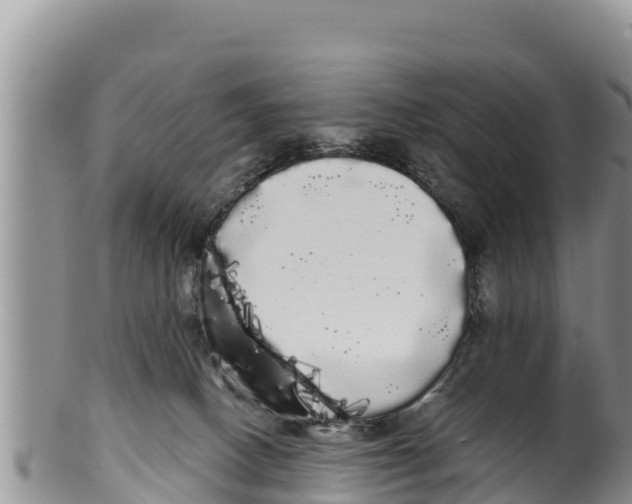 X0000100200082200806201431