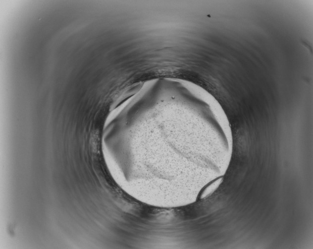 X0000100200083200806201431