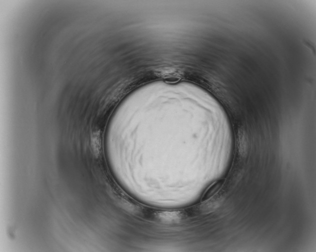 X0000100200085200806201431