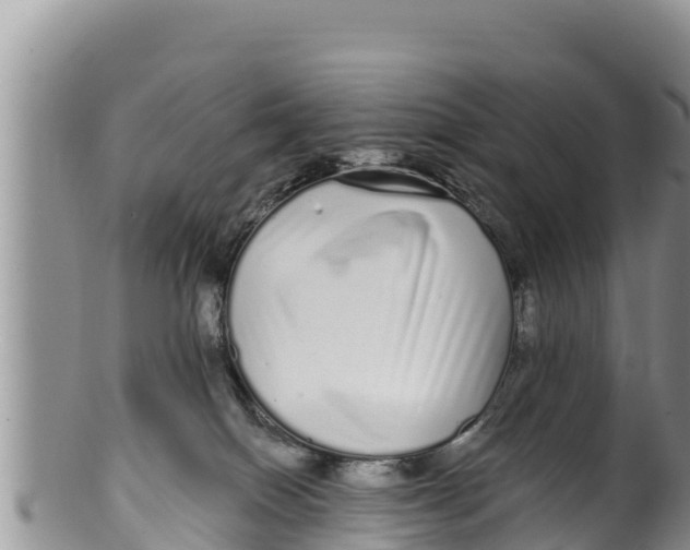 X0000100200086200806201431