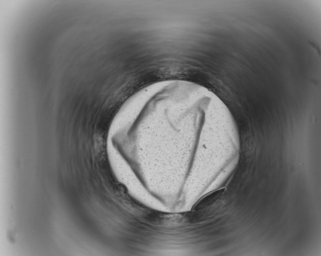 X0000100200087200806201431