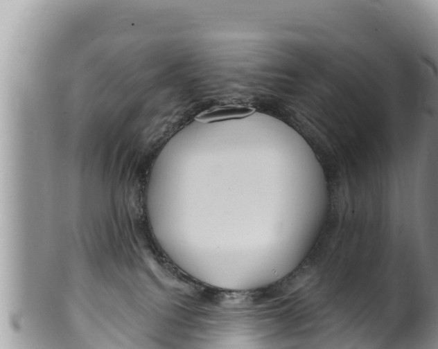 X0000100200088200806201431