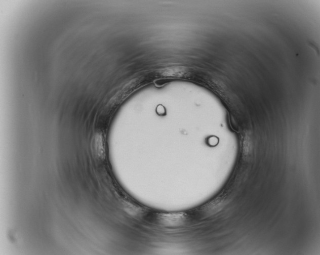 X0000100200089200806201431