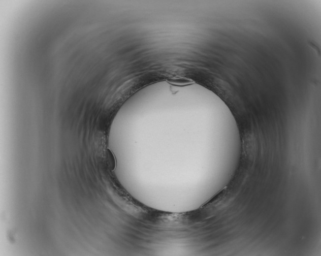 X0000100200092200806201431