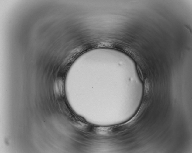 X0000100200094200806201431