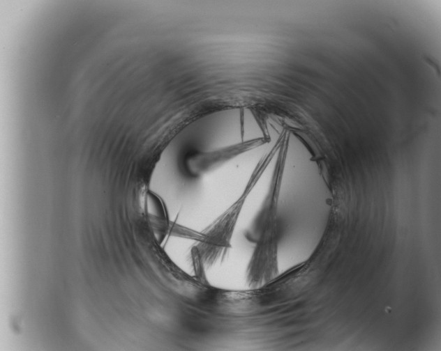 X0000100200095200806201431