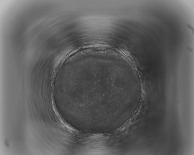 X0000100200097200806201431