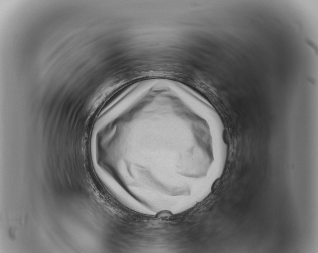 X0000100200098200806201431