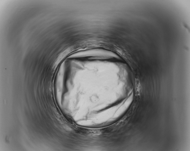 X0000100200099200806201431