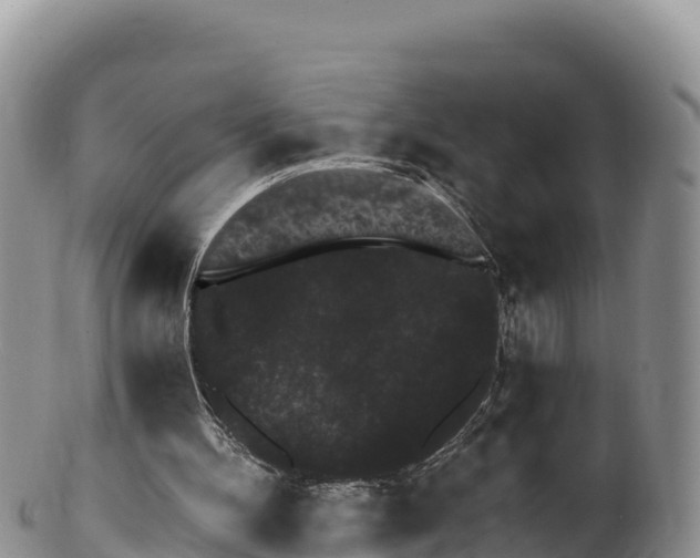 X0000100200100200806201431