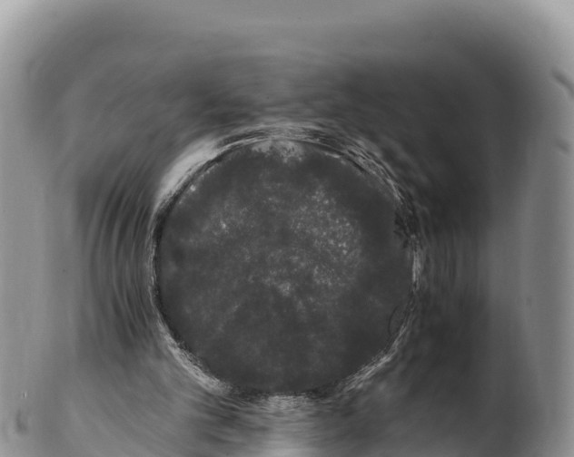 X0000100200101200806201431