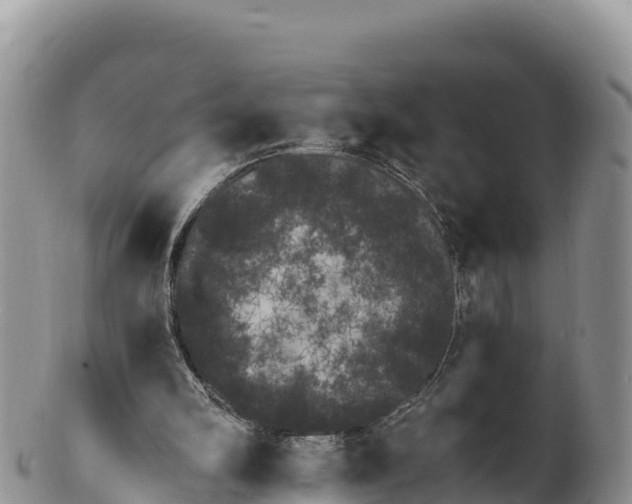 X0000100200102200806201431