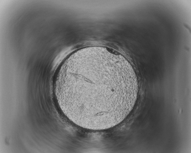 X0000100200103200806201431