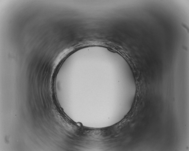 X0000100200104200806201430