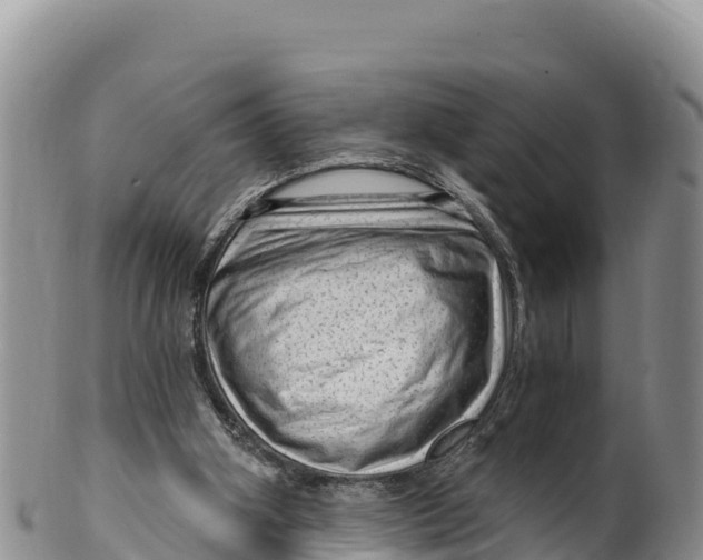 X0000100200106200806201430