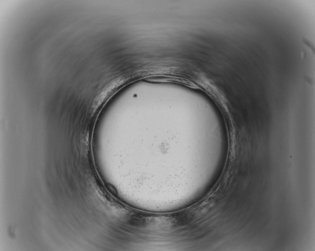 X0000100200107200806201430