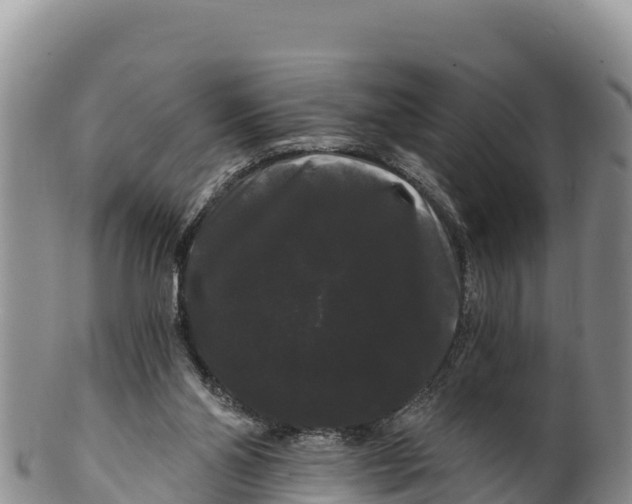 X0000100200110200806201430