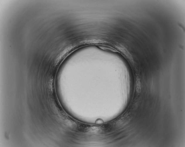 X0000100200111200806201430