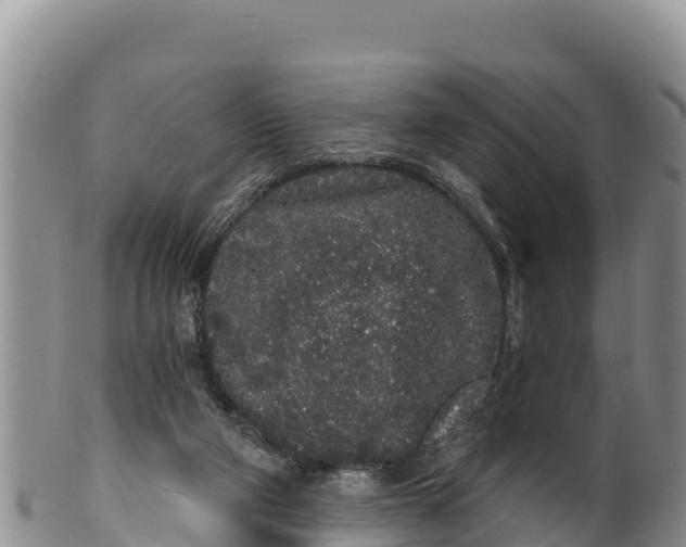 X0000100200114200806201430