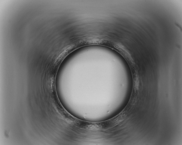 X0000100200115200806201430