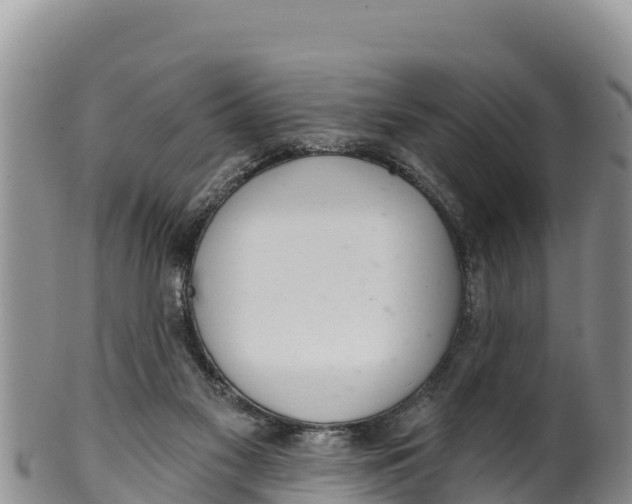 X0000100200117200806201430