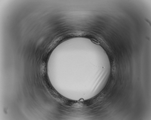 X0000100200119200806201430