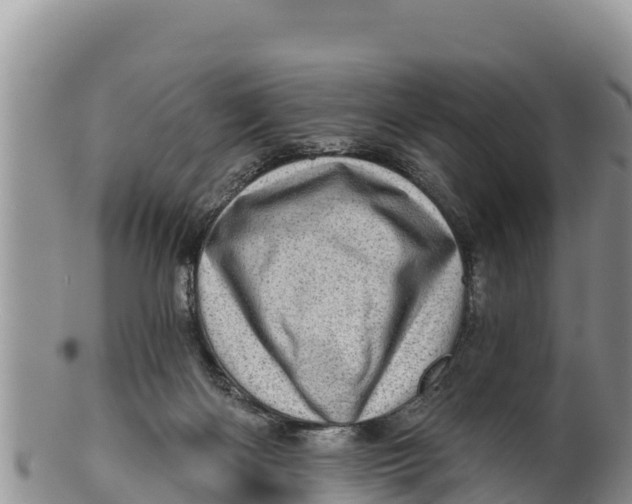 X0000100200122200806201430