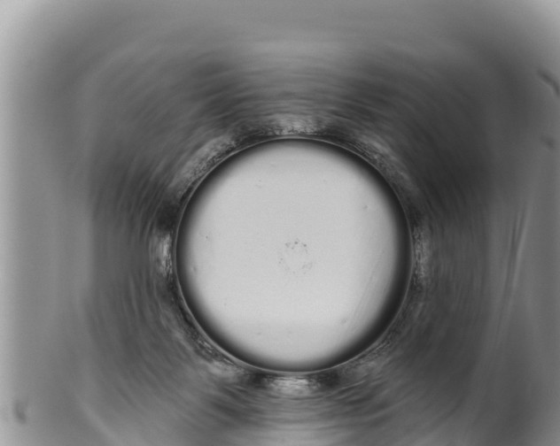 X0000100200123200806201430