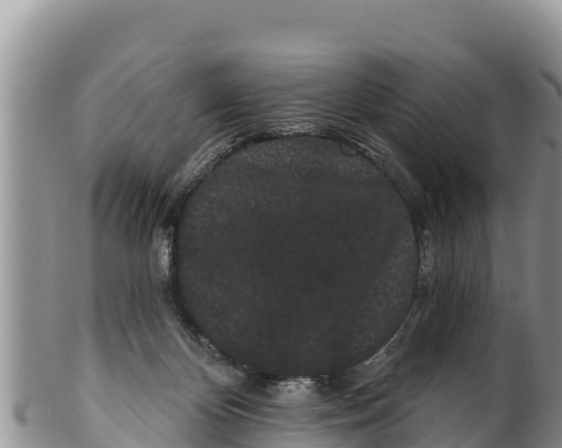 X0000100200124200806201430